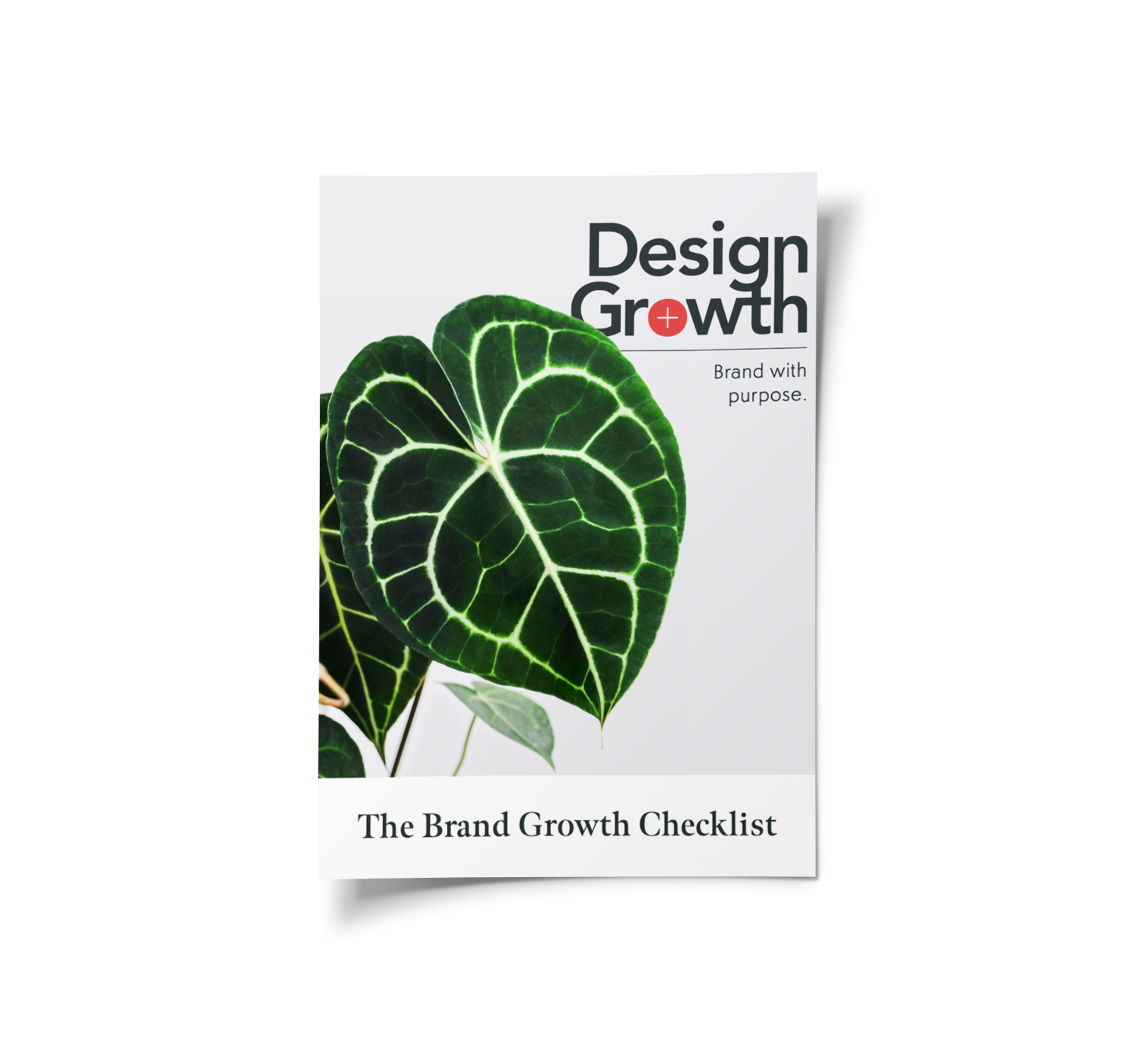Cover of checklist has the title "Design Growth," and a lush, healthy plant. 